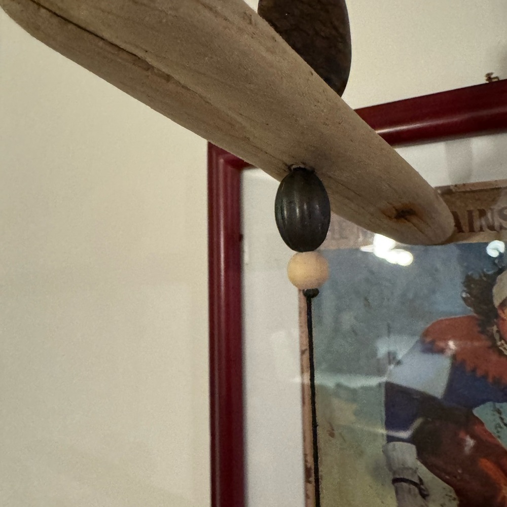 Rustic Driftwood Hanging Shelf with Air Plant - Picture 3 of 7